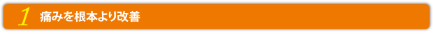 1.痛みを根本より改善